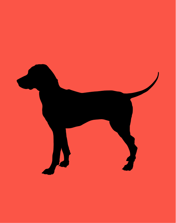 Graphic of dog at pet friendly Halstead Fair Oaks